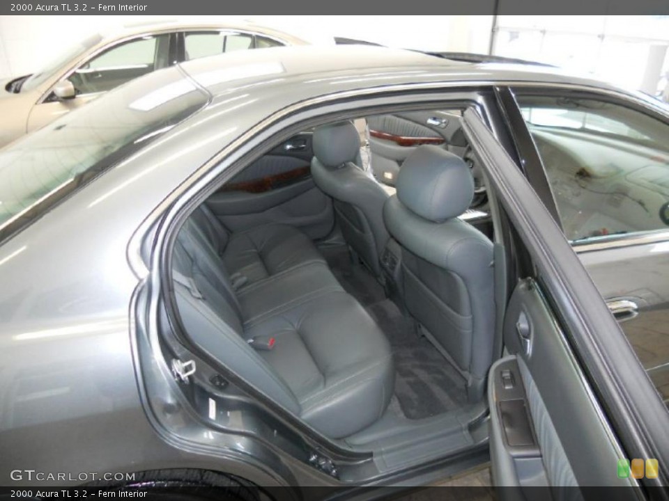 Fern Interior Photo for the 2000 Acura TL 3.2 #39416549
