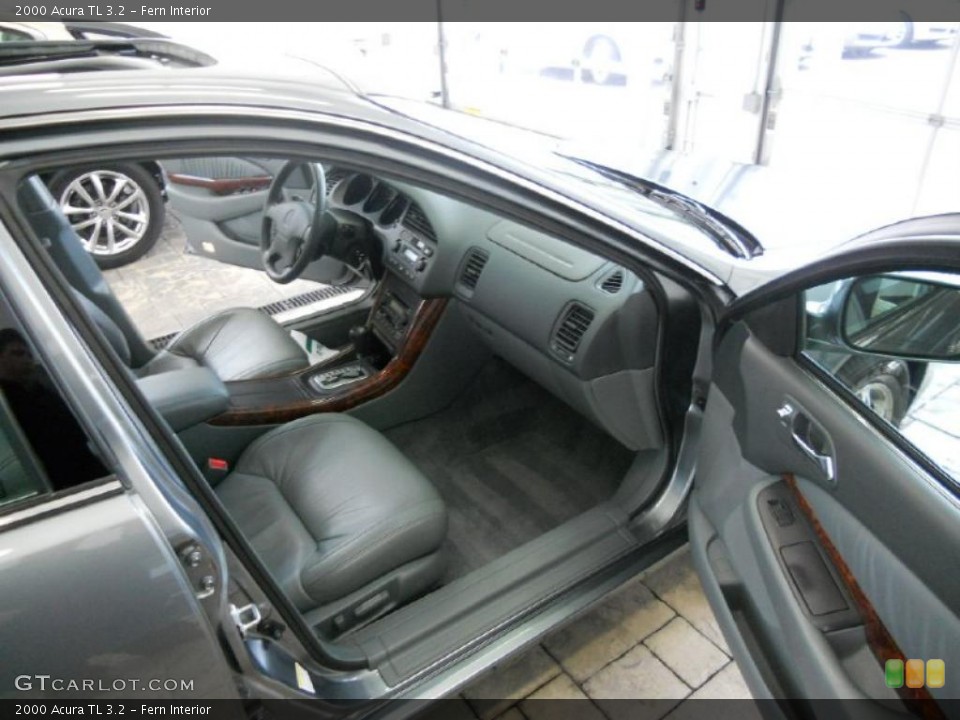 Fern Interior Photo for the 2000 Acura TL 3.2 #39416565