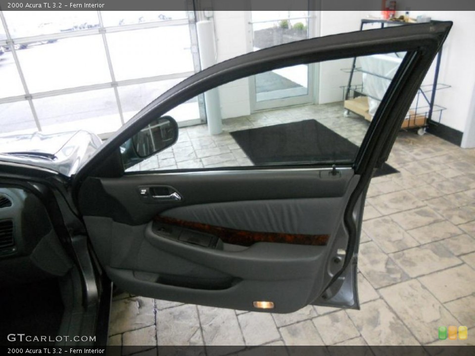 Fern Interior Door Panel for the 2000 Acura TL 3.2 #39416581