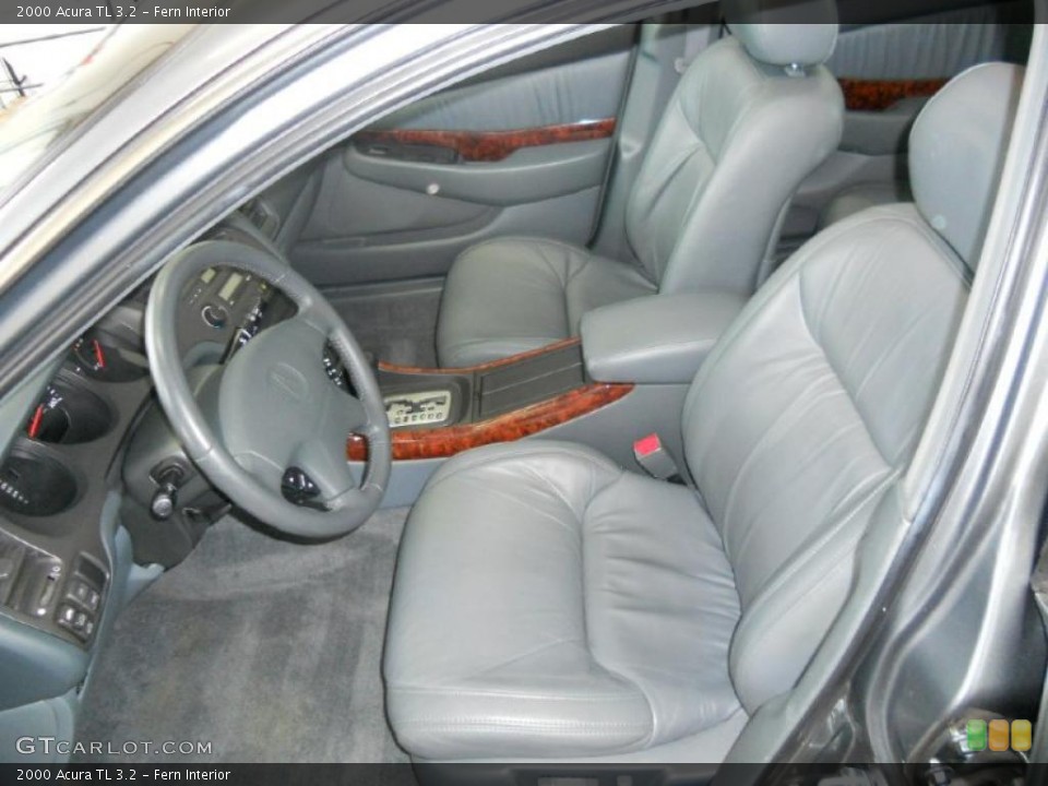 Fern Interior Photo for the 2000 Acura TL 3.2 #39416629