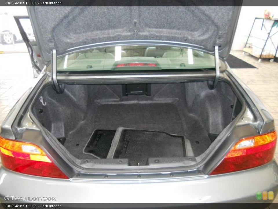 Fern Interior Trunk for the 2000 Acura TL 3.2 #39416729