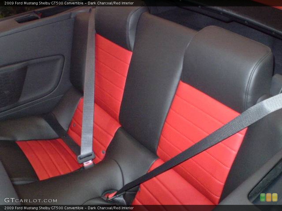 Dark Charcoal/Red Interior Photo for the 2009 Ford Mustang Shelby GT500 Convertible #394846