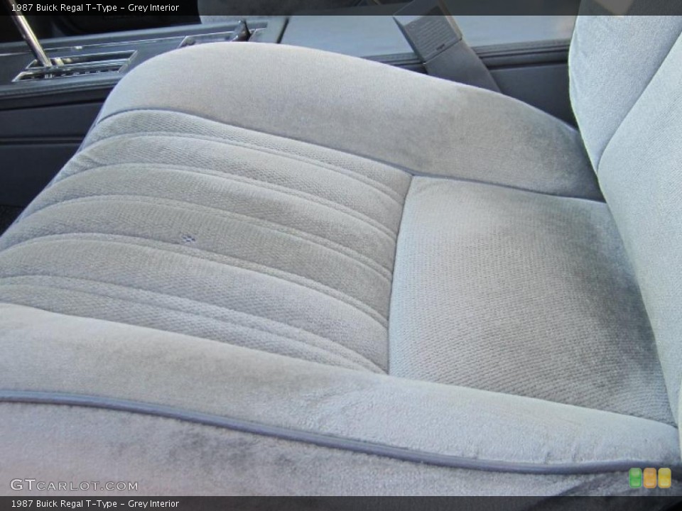 Grey Interior Photo for the 1987 Buick Regal T-Type #39508140