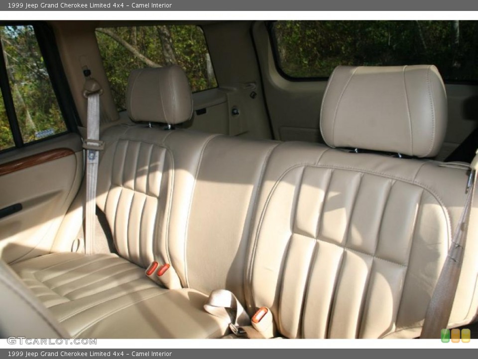 Camel Interior Photo for the 1999 Jeep Grand Cherokee Limited 4x4 #39603045