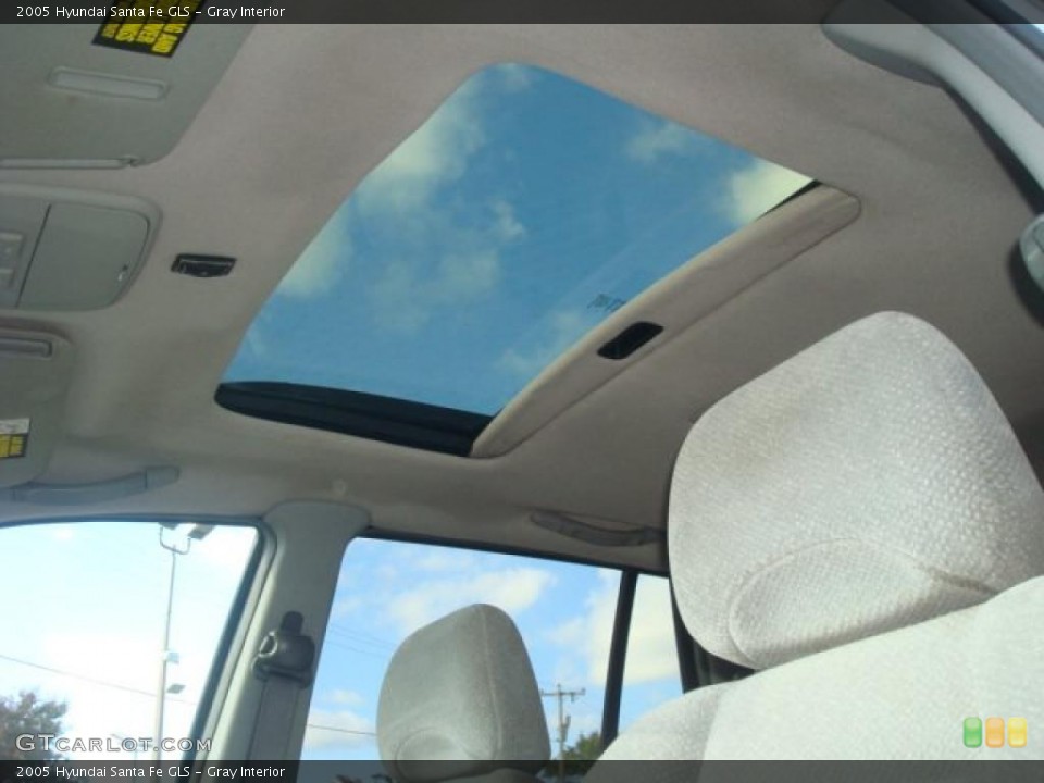 Gray Interior Sunroof for the 2005 Hyundai Santa Fe GLS #39806732