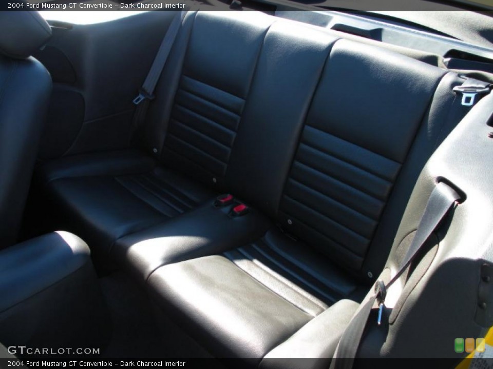 Dark Charcoal Interior Photo for the 2004 Ford Mustang GT Convertible #40225026