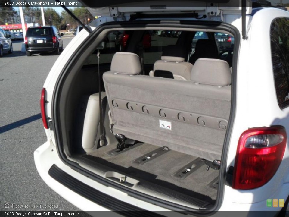 Taupe Interior Trunk for the 2003 Dodge Caravan SXT #40560617