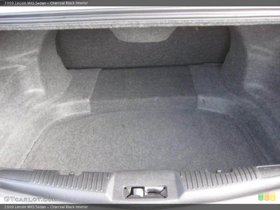 Charcoal Black Interior Trunk for the 2009 Lincoln MKS Sedan #40704345