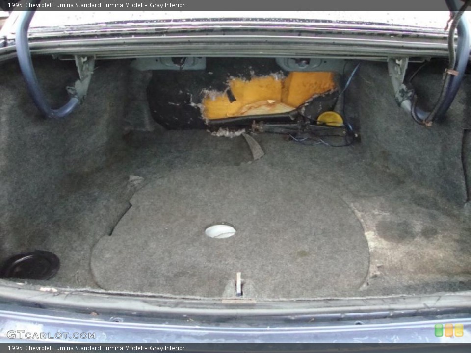 Gray Interior Trunk for the 1995 Chevrolet Lumina  #40774063