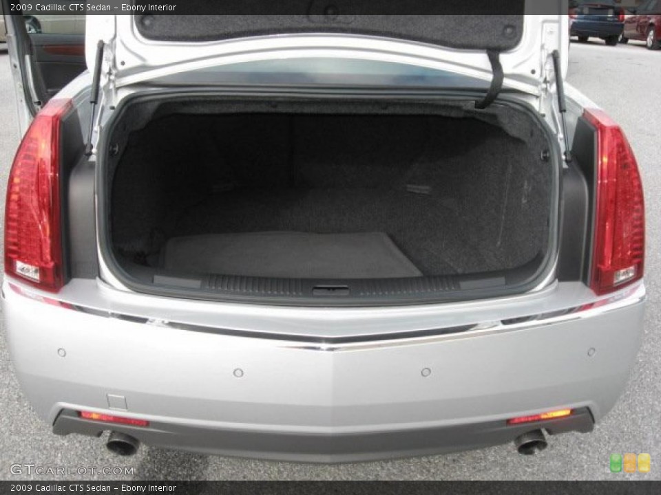 Ebony Interior Trunk for the 2009 Cadillac CTS Sedan #41138611