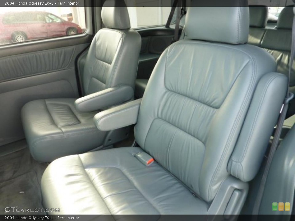 Fern Interior Photo for the 2004 Honda Odyssey EX-L #41515013