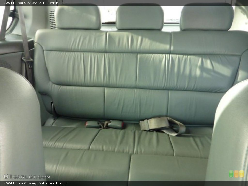 Fern Interior Photo for the 2004 Honda Odyssey EX-L #41515029