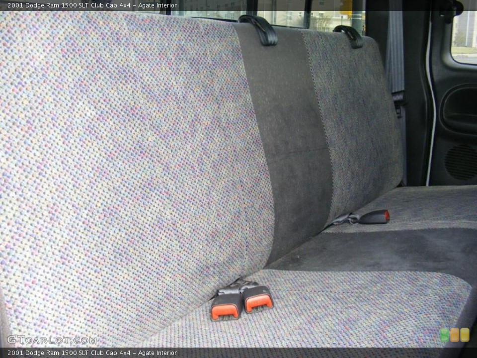 Agate Interior Photo for the 2001 Dodge Ram 1500 SLT Club Cab 4x4 #41824855