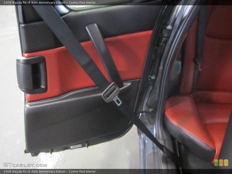 Cosmo Red Interior Door Panel for the 2008 Mazda RX-8 40th Anniversary Edition #42164552