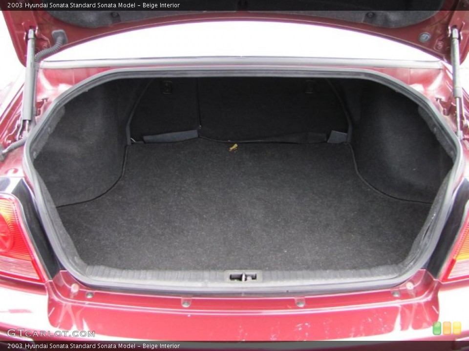 Beige Interior Trunk for the 2003 Hyundai Sonata  #42308288