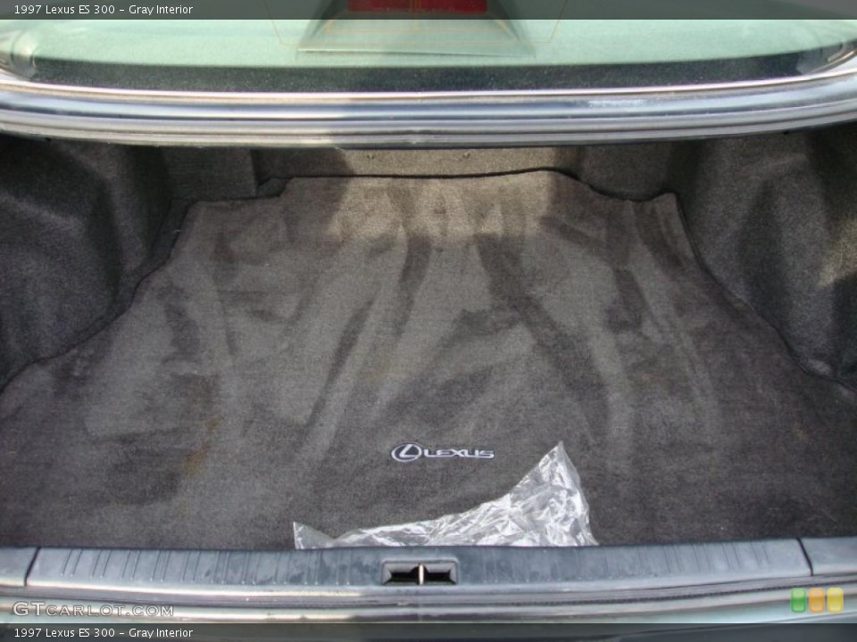 Gray Interior Trunk for the 1997 Lexus ES 300 #42772173