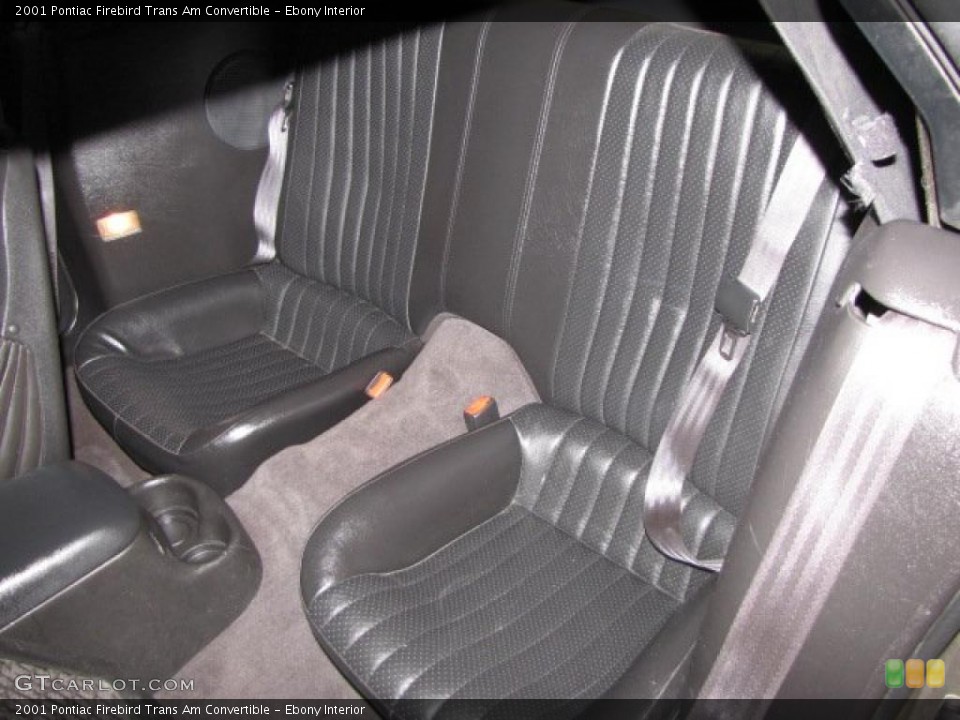 Ebony Interior Photo for the 2001 Pontiac Firebird Trans Am Convertible #43317730