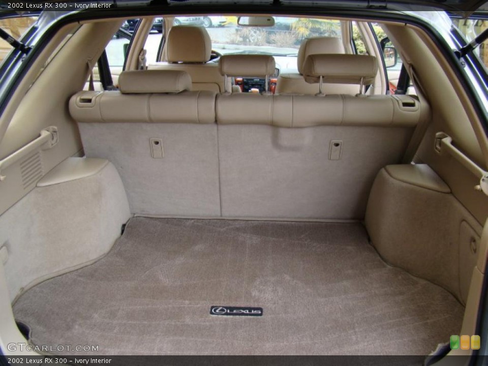 Ivory Interior Trunk for the 2002 Lexus RX 300 #43322619