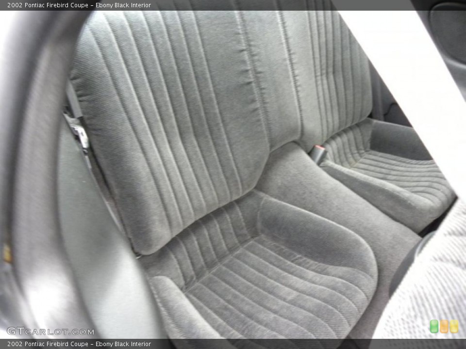 Ebony Black Interior Photo for the 2002 Pontiac Firebird Coupe #45221813