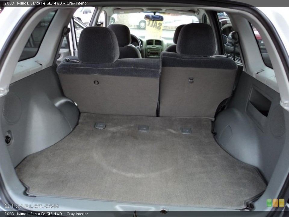 Gray Interior Trunk for the 2003 Hyundai Santa Fe GLS 4WD #45294825