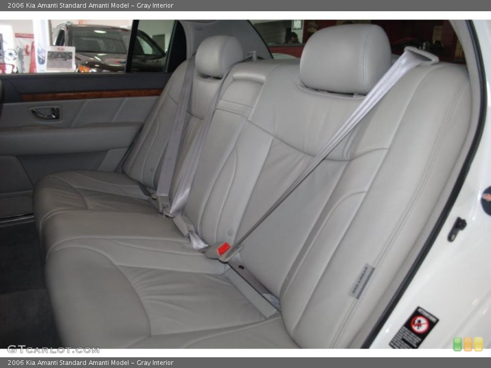 Gray Interior Photo for the 2006 Kia Amanti  #45853961