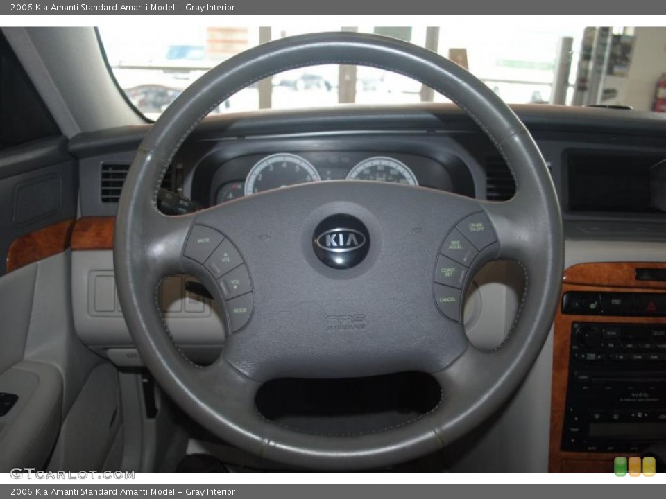 Gray Interior Steering Wheel for the 2006 Kia Amanti  #45854045