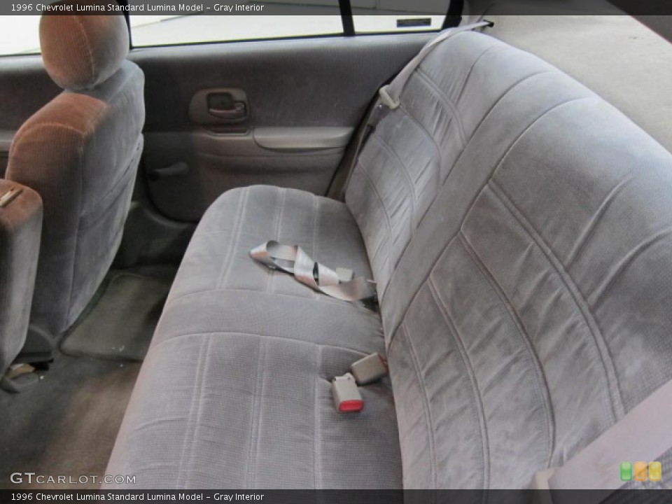 Gray Interior Photo for the 1996 Chevrolet Lumina  #45943740