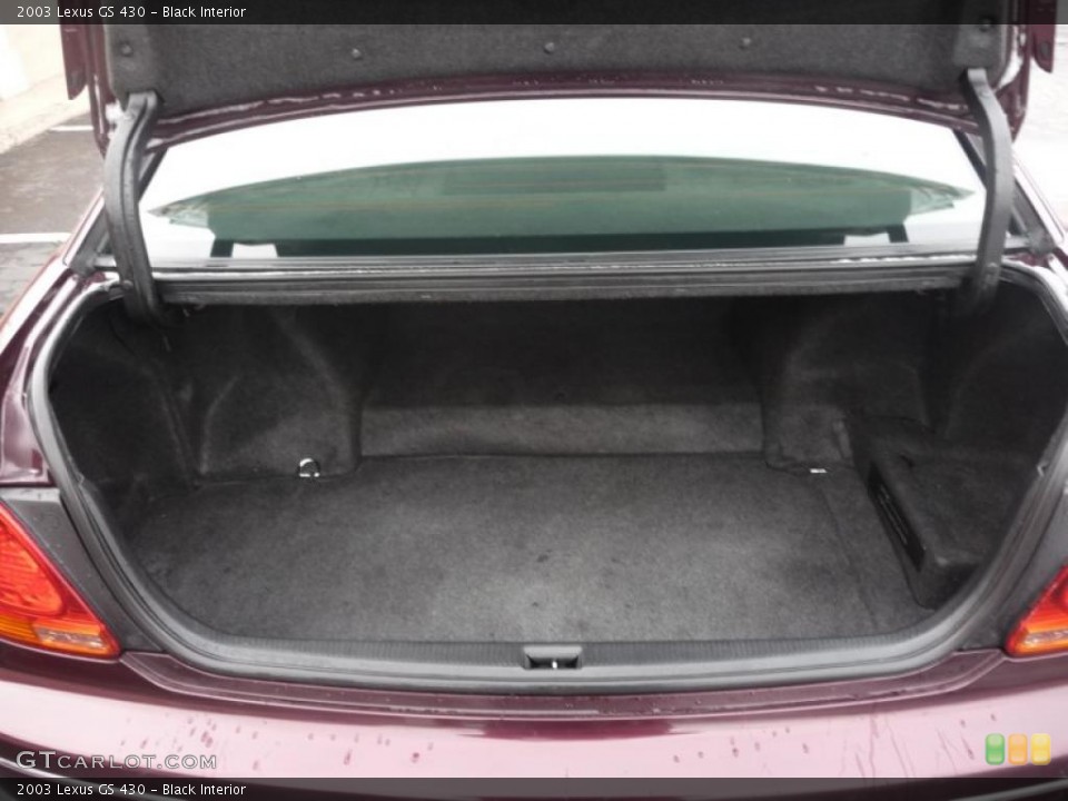 Black Interior Trunk for the 2003 Lexus GS 430 #46047584