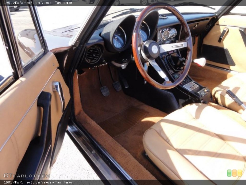Tan Interior Photo for the 1981 Alfa Romeo Spider Veloce #46330125