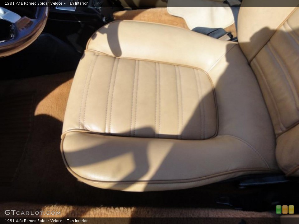 Tan Interior Photo for the 1981 Alfa Romeo Spider Veloce #46330149
