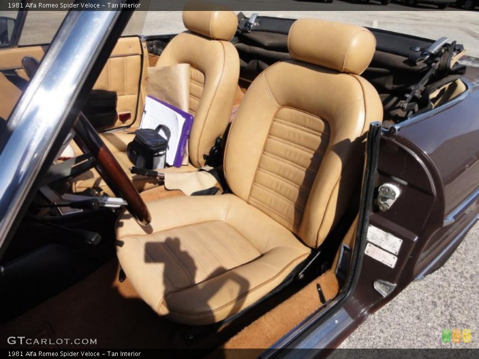 Tan Interior Photo for the 1981 Alfa Romeo Spider Veloce #46330161