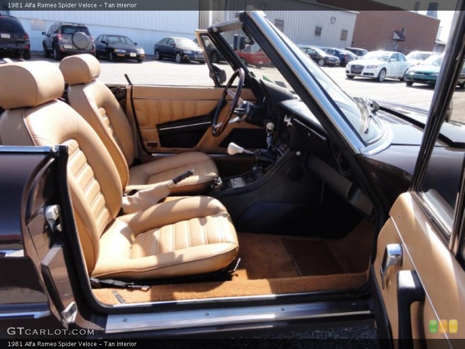 Tan Interior Photo for the 1981 Alfa Romeo Spider Veloce #46330197