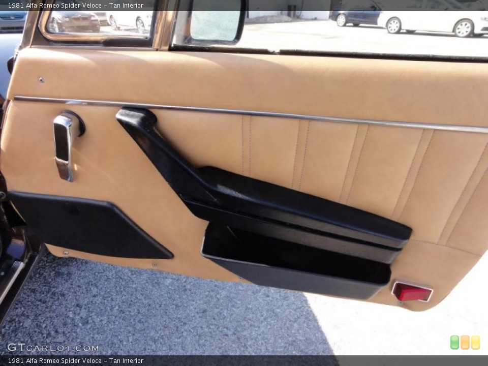 Tan Interior Photo for the 1981 Alfa Romeo Spider Veloce #46330209