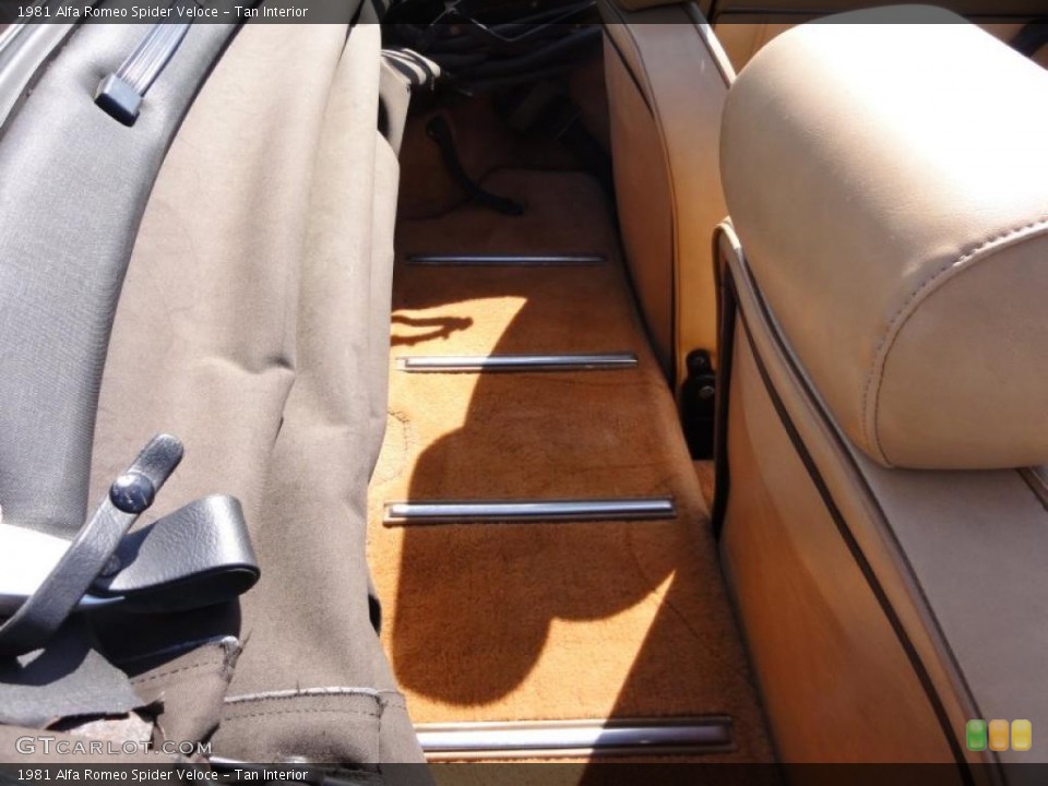 Tan Interior Photo for the 1981 Alfa Romeo Spider Veloce #46330221