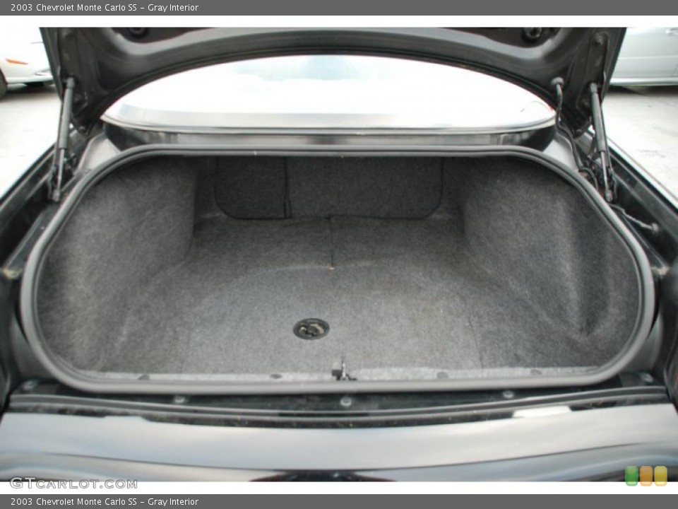 Gray Interior Trunk for the 2003 Chevrolet Monte Carlo SS #46338663