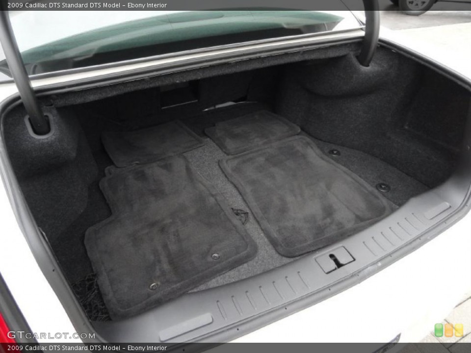 Ebony Interior Trunk for the 2009 Cadillac DTS  #46660973