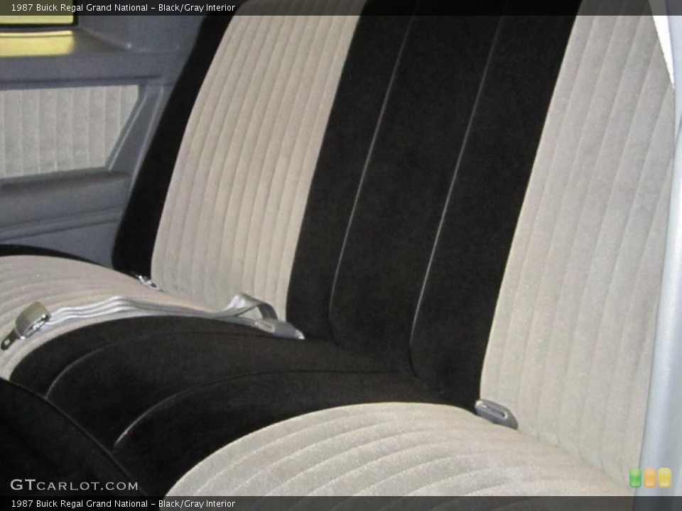 Black/Gray Interior Photo for the 1987 Buick Regal Grand National #46742281