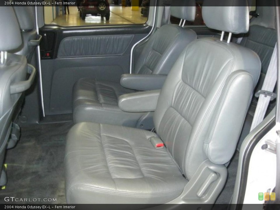 Fern Interior Photo for the 2004 Honda Odyssey EX-L #47122116