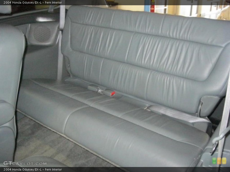 Fern Interior Photo for the 2004 Honda Odyssey EX-L #47122131