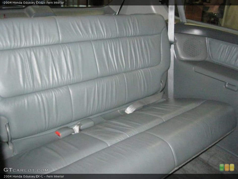 Fern Interior Photo for the 2004 Honda Odyssey EX-L #47122146