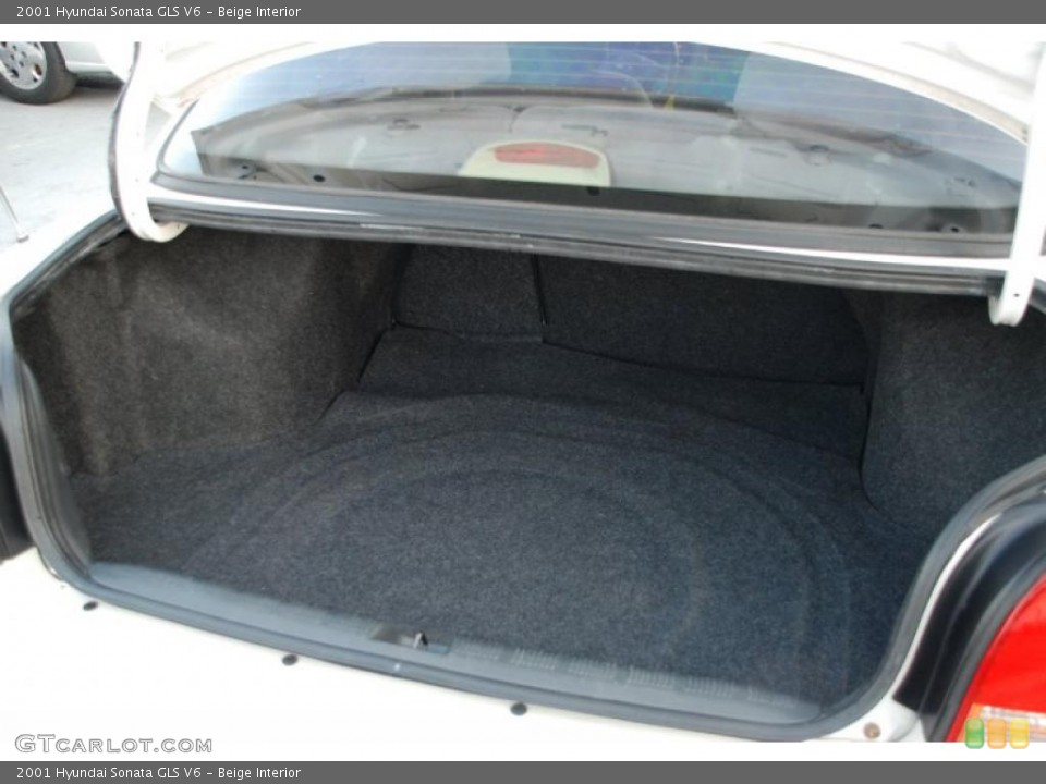 Beige Interior Trunk for the 2001 Hyundai Sonata GLS V6 #47582378