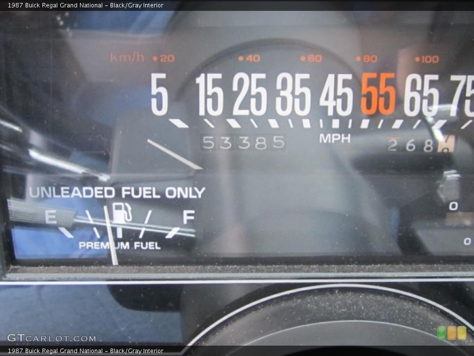 Black/Gray Interior Gauges for the 1987 Buick Regal Grand National #47879978