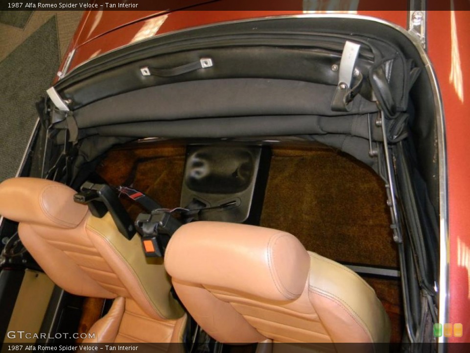 Tan Interior Photo for the 1987 Alfa Romeo Spider Veloce #48324707