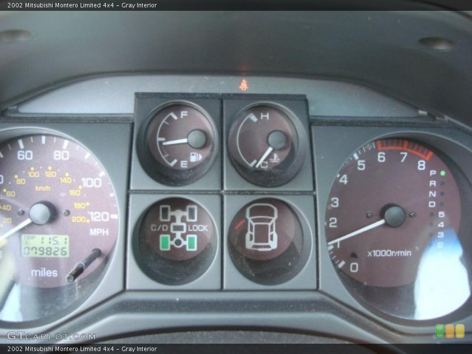 Gray Interior Gauges for the 2002 Mitsubishi Montero Limited 4x4 #48446190