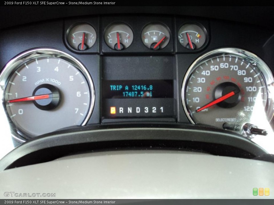 Stone/Medium Stone Interior Gauges for the 2009 Ford F150 XLT SFE SuperCrew #48512794
