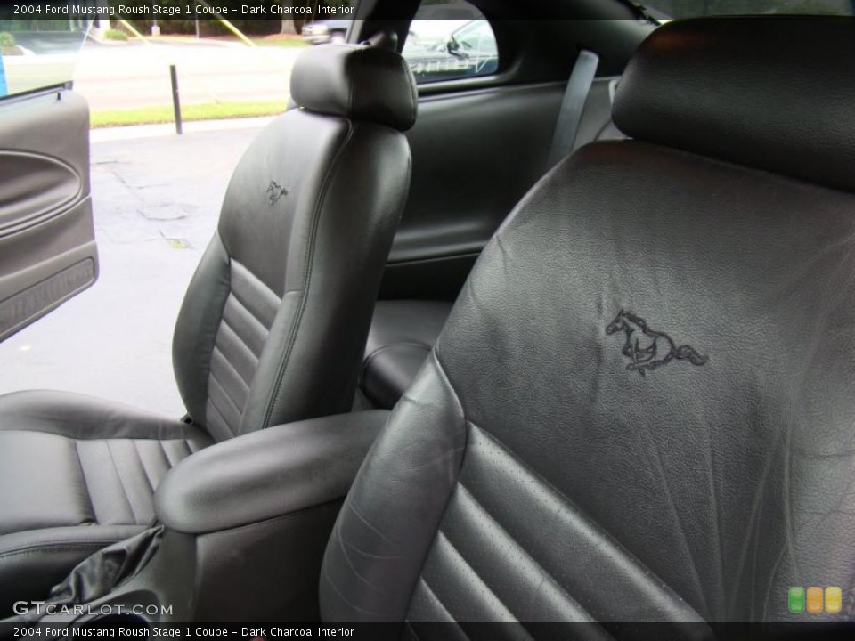 Dark Charcoal Interior Photo for the 2004 Ford Mustang Roush Stage 1 Coupe #48623700