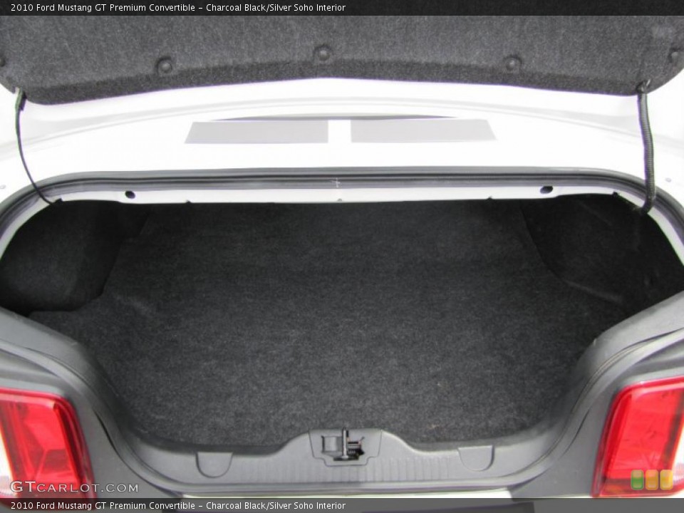 Charcoal Black/Silver Soho Interior Trunk for the 2010 Ford Mustang GT Premium Convertible #49042092