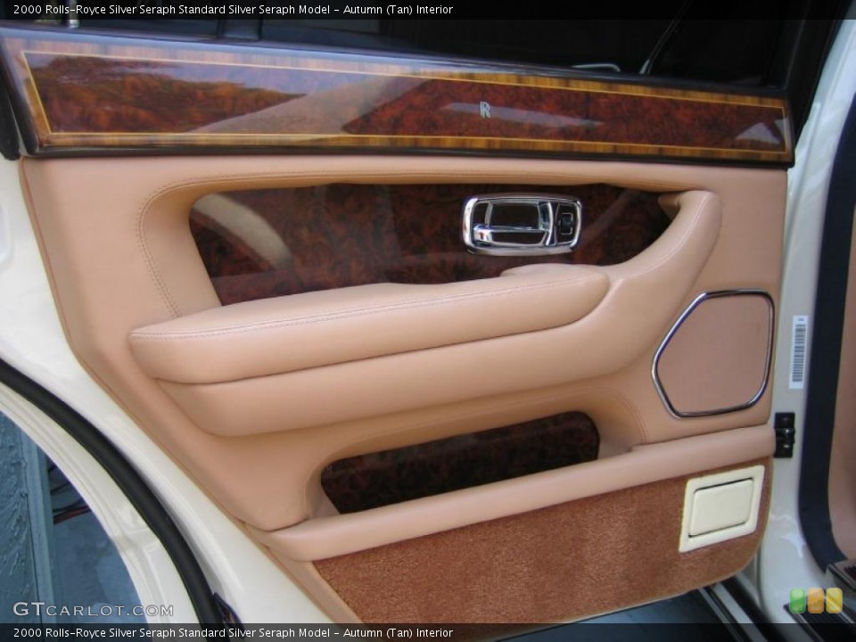 Autumn (Tan) Interior Door Panel for the 2000 Rolls-Royce Silver Seraph  #49245992