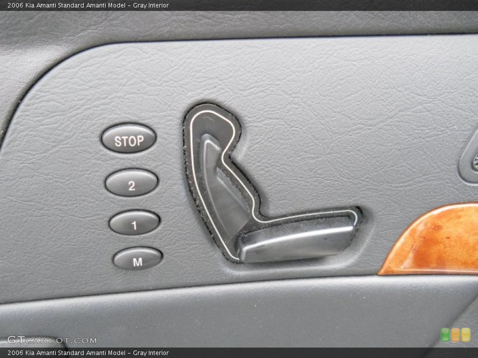 Gray Interior Controls for the 2006 Kia Amanti  #49635575