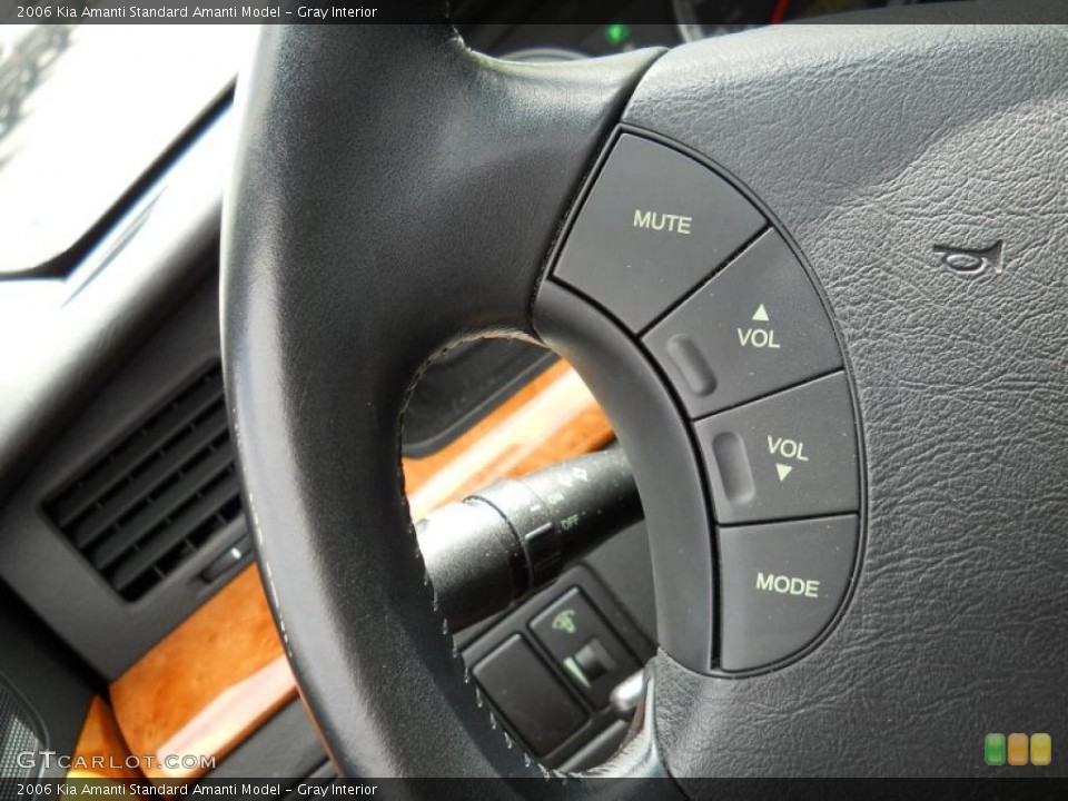 Gray Interior Controls for the 2006 Kia Amanti  #49635785